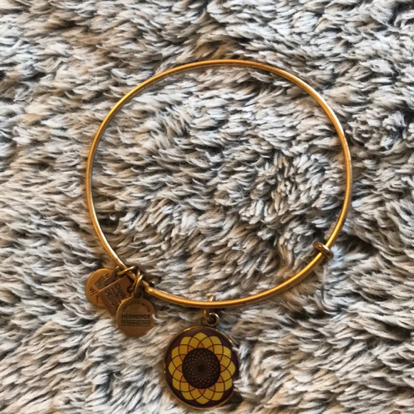 Alex and Ani Bangle - Picture 2 of 2